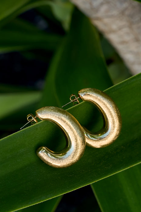 Hoop Earrings circle Casual Daily Simple Series Women's jewelry