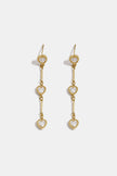 Stainless Steel Dangle Earrings Chain Elegant Gathering/Party Luxurious Series Women's jewelry
