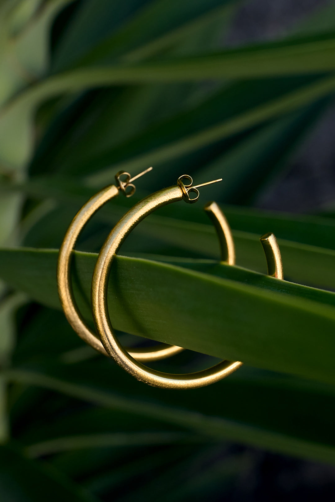 Hoop Earrings circle Casual Daily Simple Series Women's jewelry
