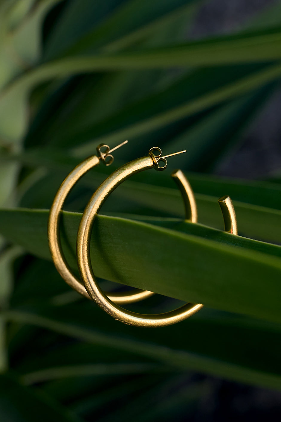 Hoop Earrings circle Casual Daily Simple Series Women's jewelry