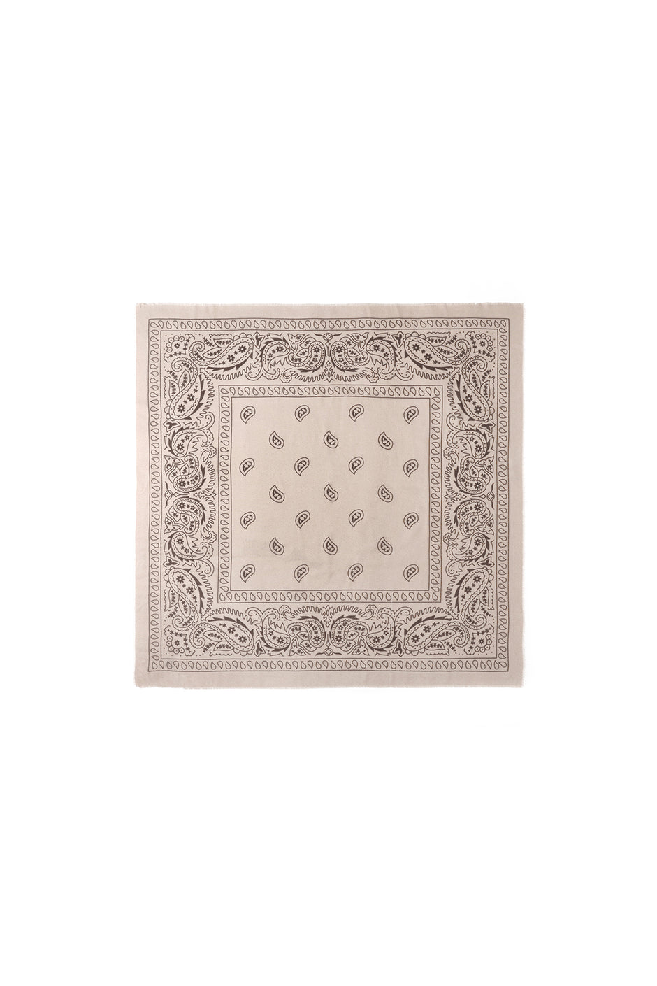 Winter scarves Paisley Pattern Classic Polyester Daily Accessories