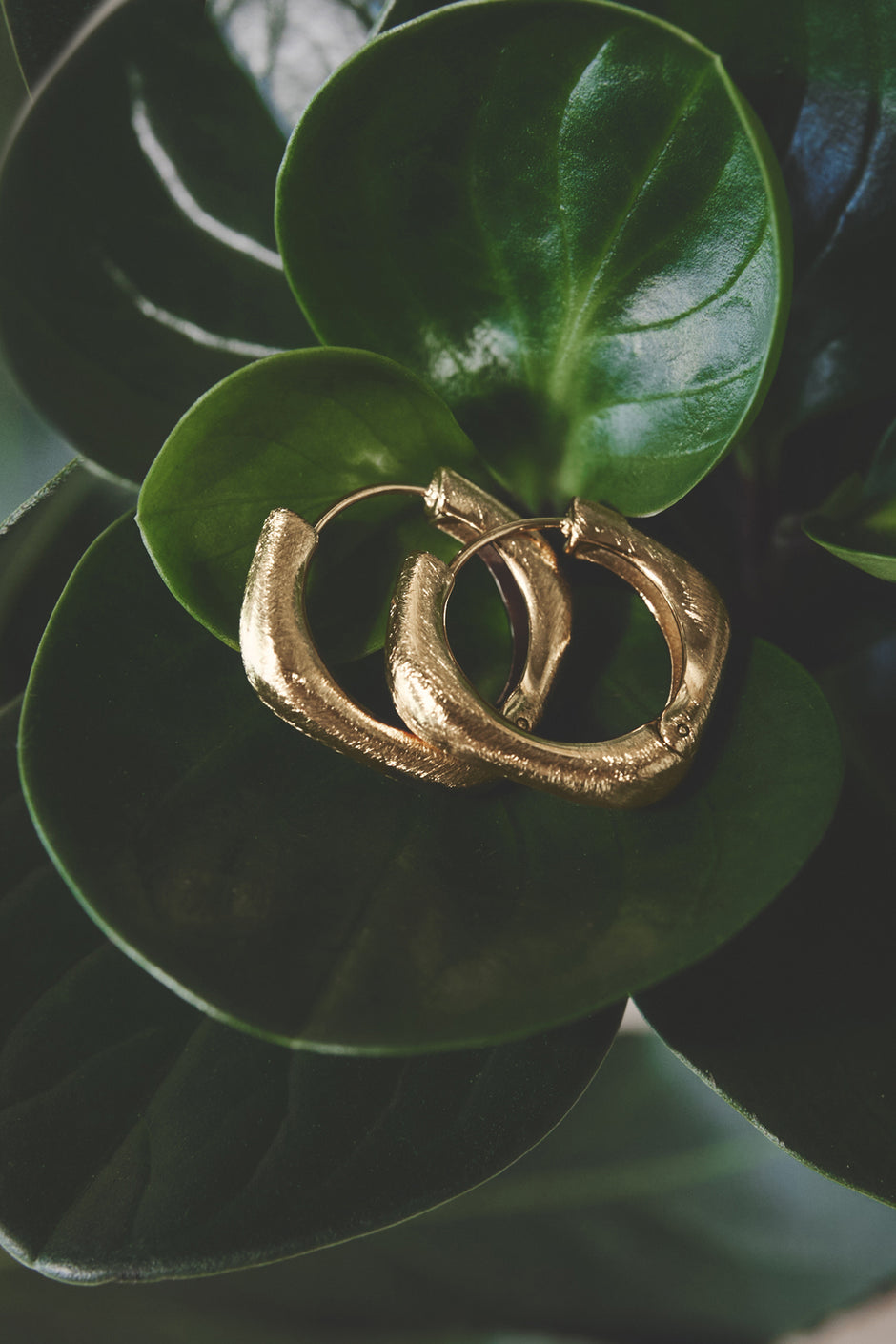 Hoop earrings with rounded edges and a square shape