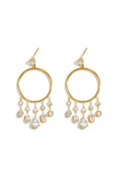 Stainless Steel Dangle Earrings Droplet Elegant Gathering/Party Luxurious Series Women's jewelry