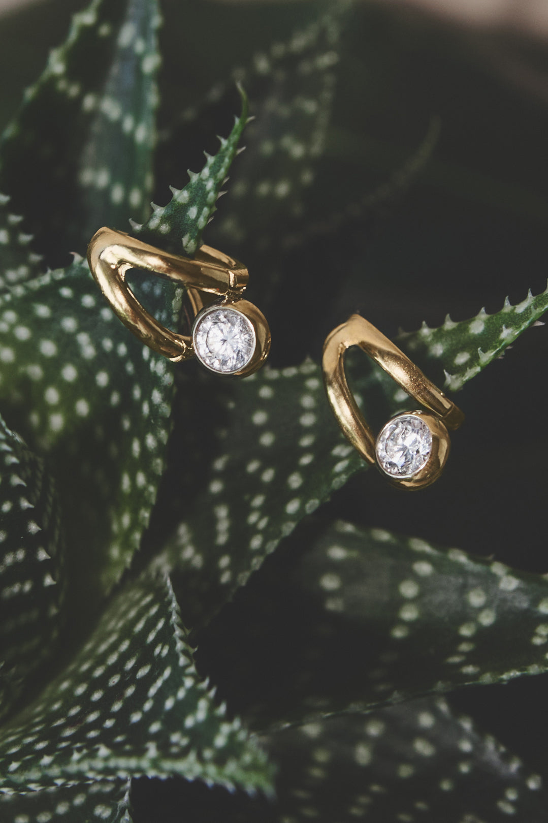 Stainless Steel Hoop Earrings Irregular Shape Simple Daily Simple Series Women's jewelry