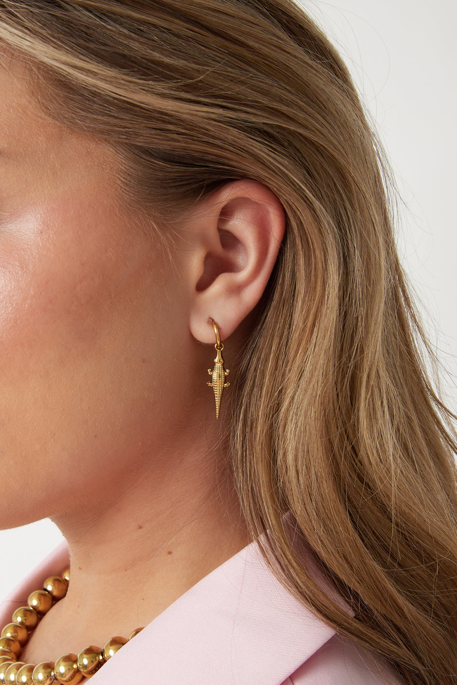 Stainless Steel Drop Earrings Animal Simple Daily Simple Series Women's jewelry