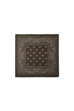 Winter scarves Paisley Pattern Classic Polyester Daily Accessories