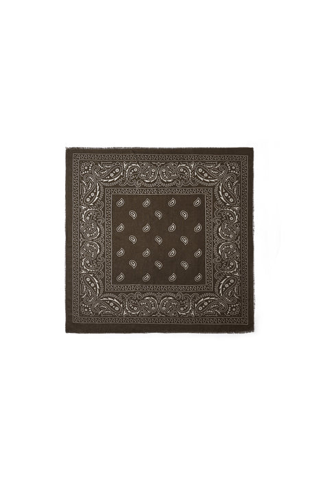 Winter scarves Paisley Pattern Classic Polyester Daily Accessories