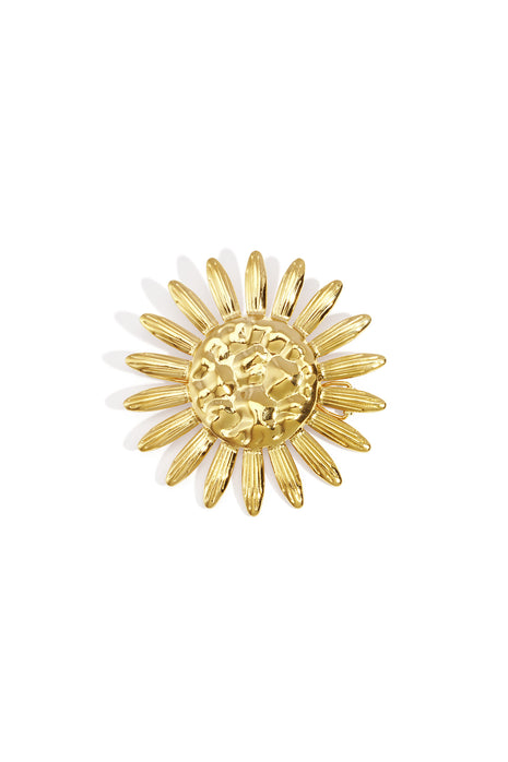 Stainless Steel Brooches Flower Casual Daily Simple Series Women's jewelry