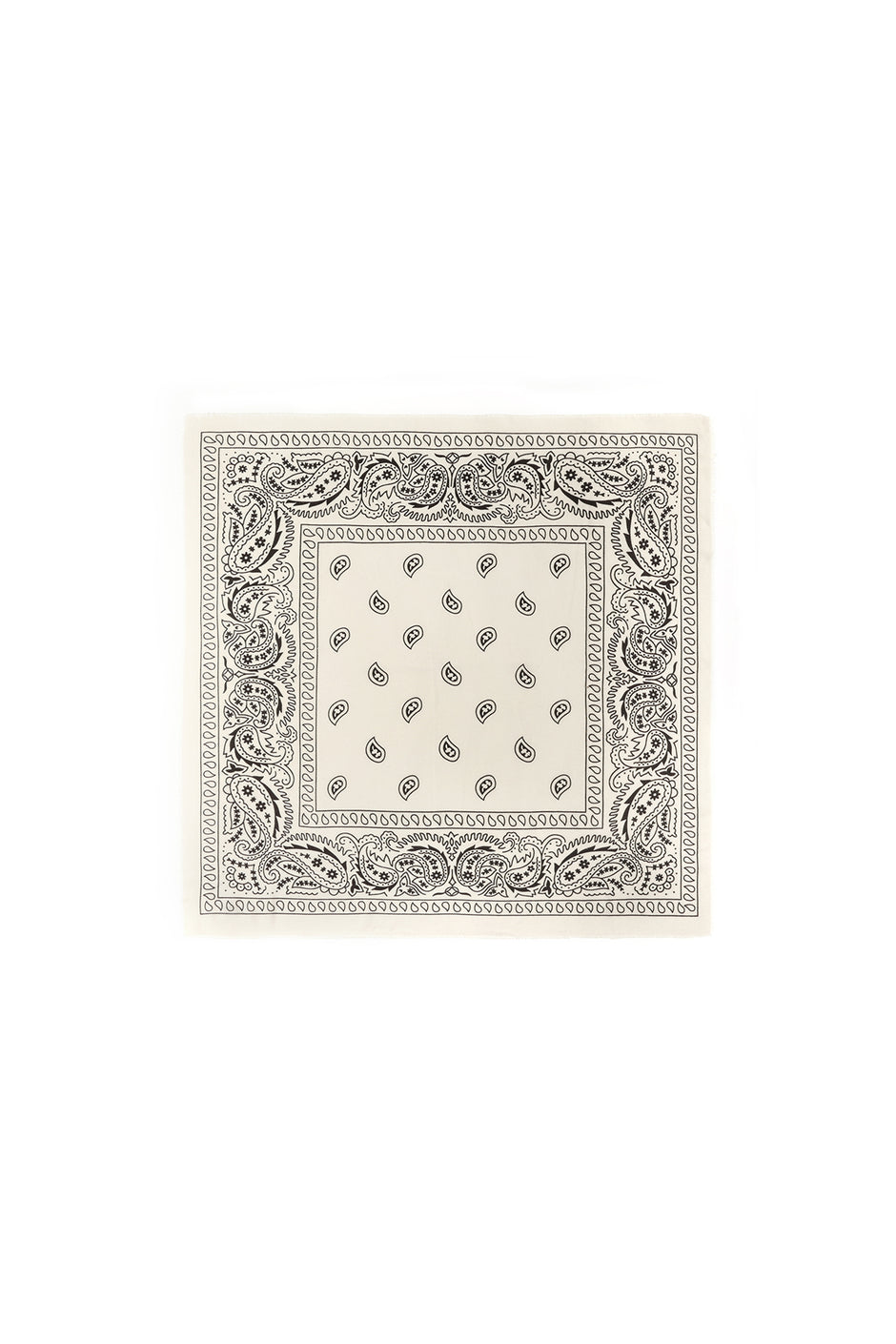Winter scarves Paisley Pattern Classic Polyester Daily Accessories