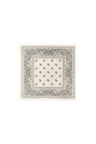 Winter scarves Paisley Pattern Classic Polyester Daily Accessories