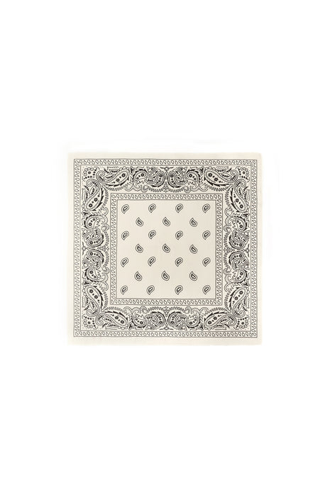 Winter scarves Paisley Pattern Classic Polyester Daily Accessories