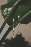 Stainless Steel Dangle Earrings Ellipse Shape Casual Gathering/Party Simple Series Women's jewelry